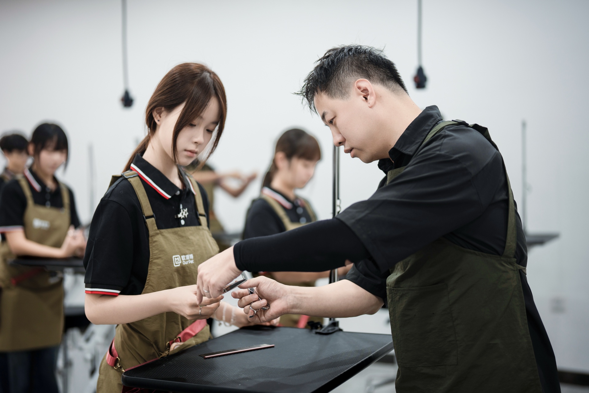宠物实训教学