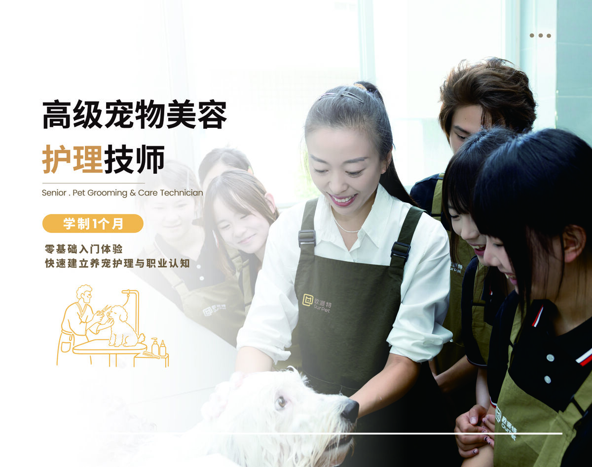 高级宠物美容护理技师班