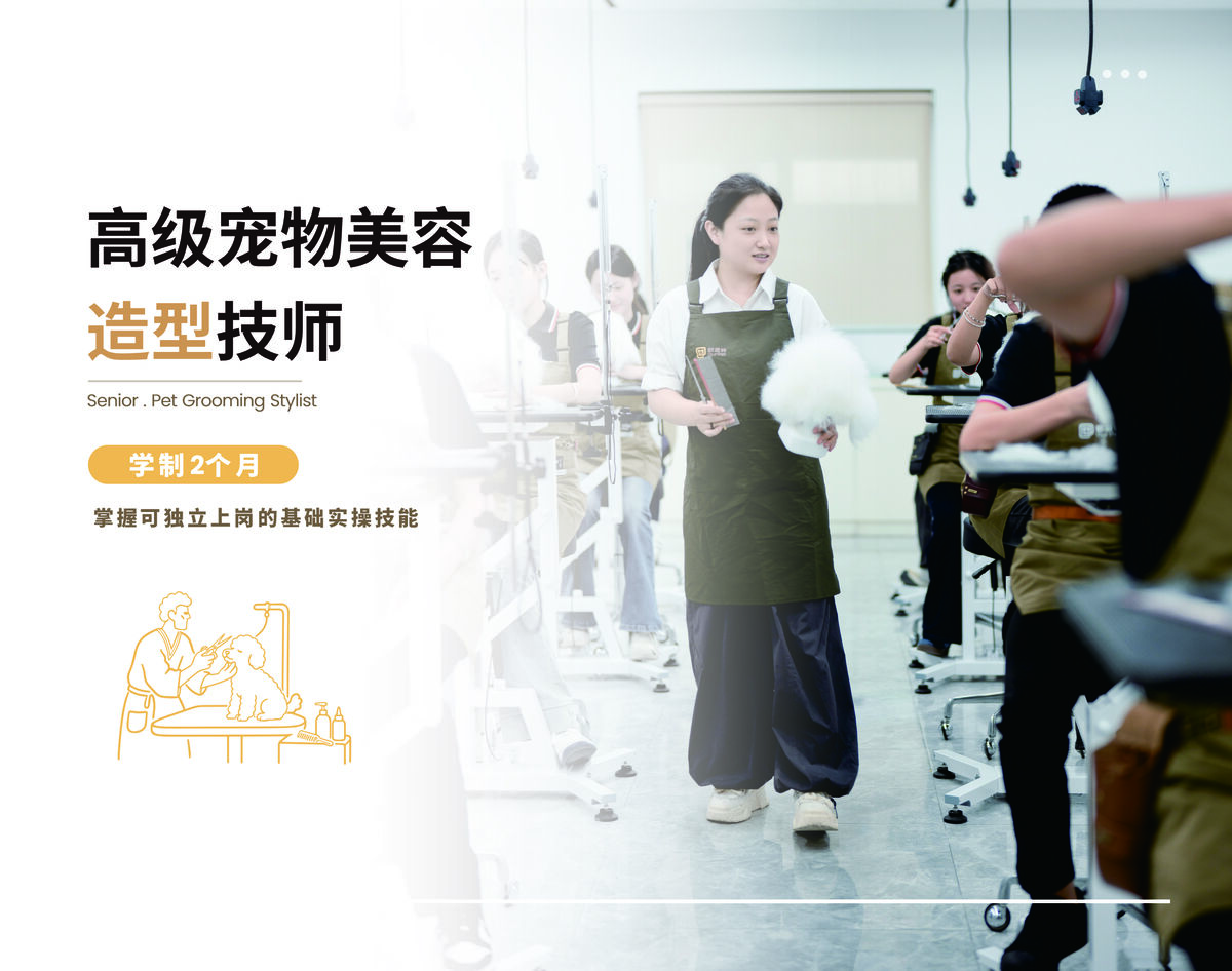 高级宠物美容造型技师班