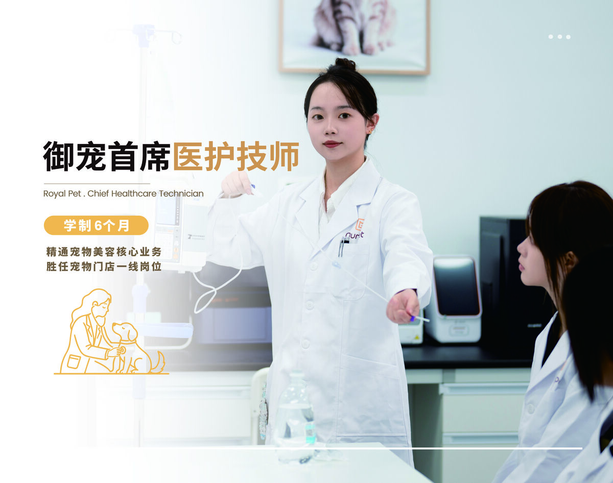 御宠首席医护技师班