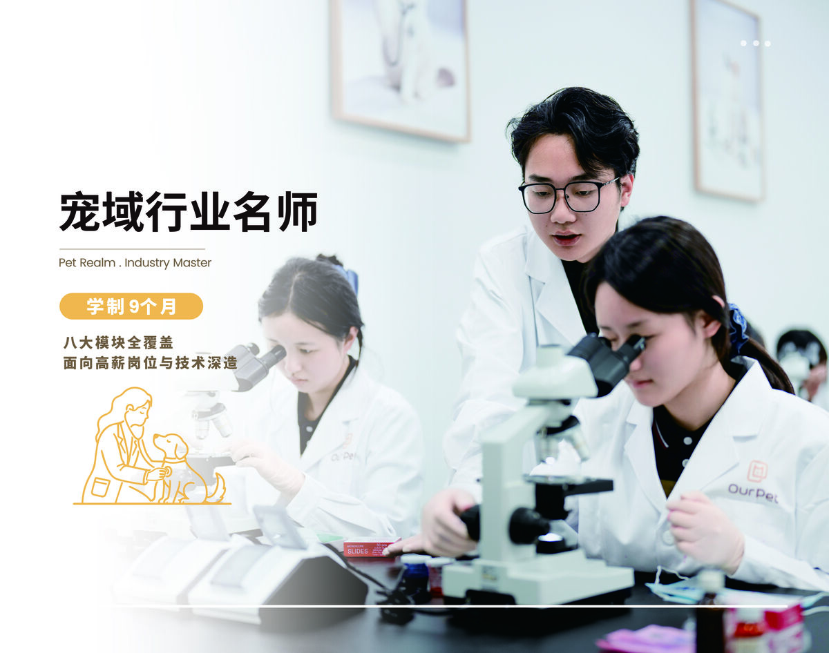 宠域行业名师班