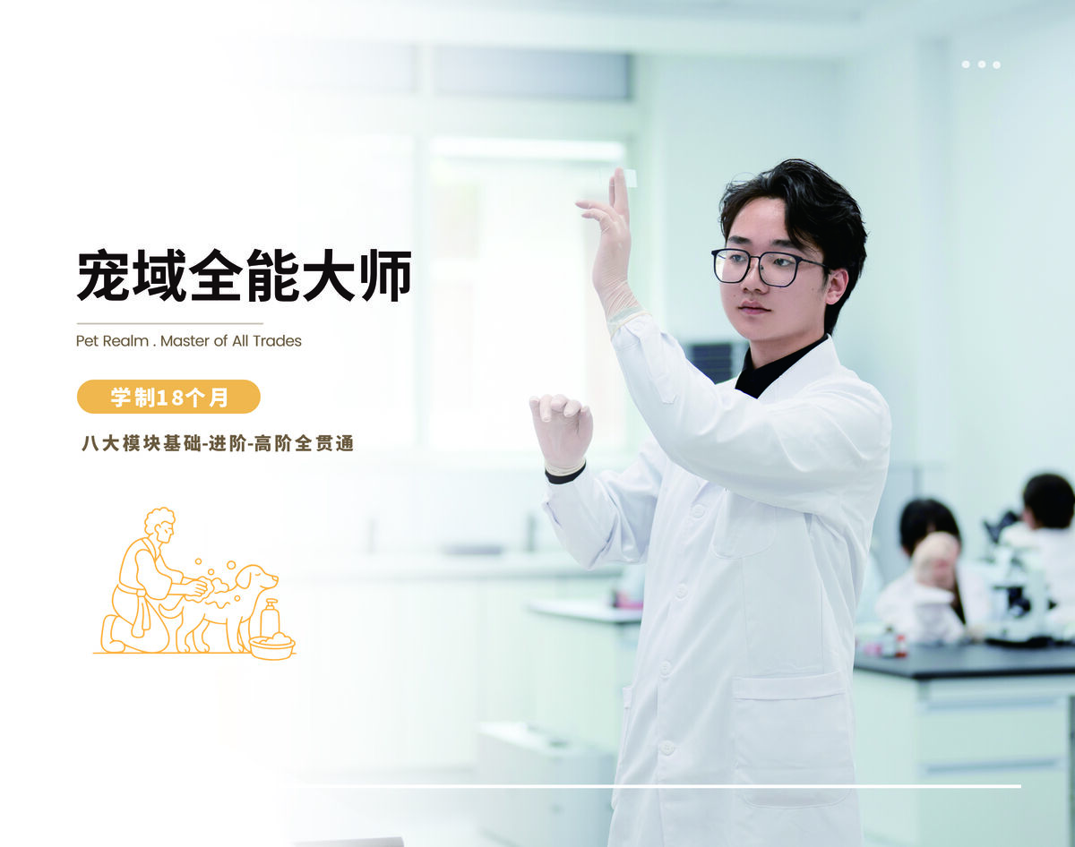 宠域全能大师班